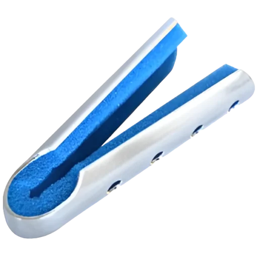 ferula
